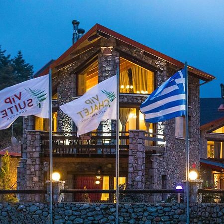 Vip Chalet 4 Seasons Arachova Eksteriør billede